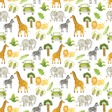 Party Box - Safari Celebration